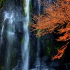 滝と紅葉