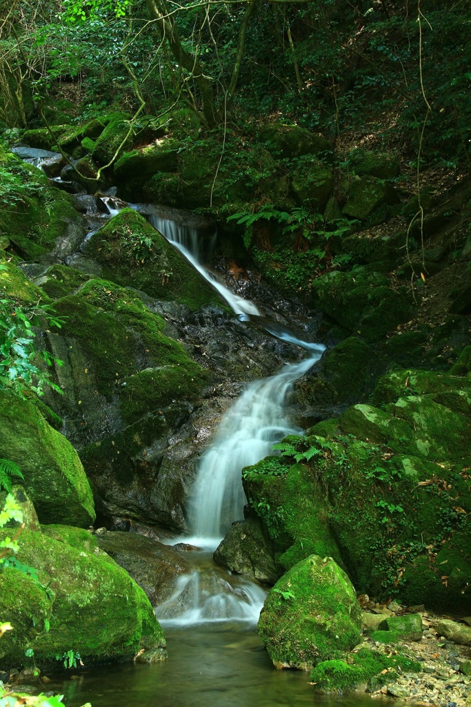 山間の沢