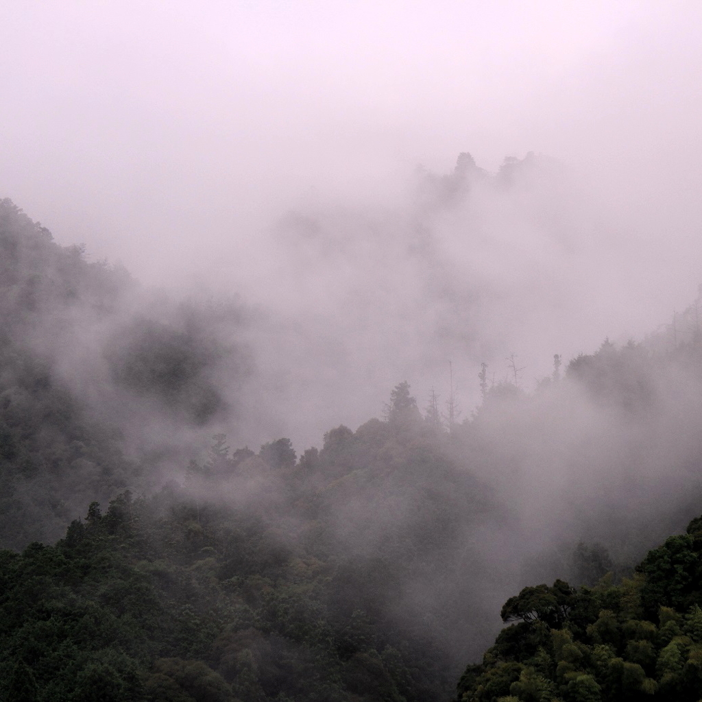 山水