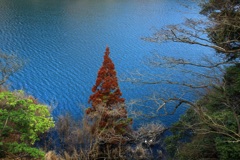 水のある風景 62 続き