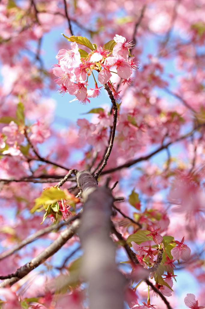 広がり