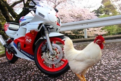 はっぴーにゅーいあー