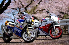 Spring has come!!!