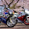 Spring has come!!!