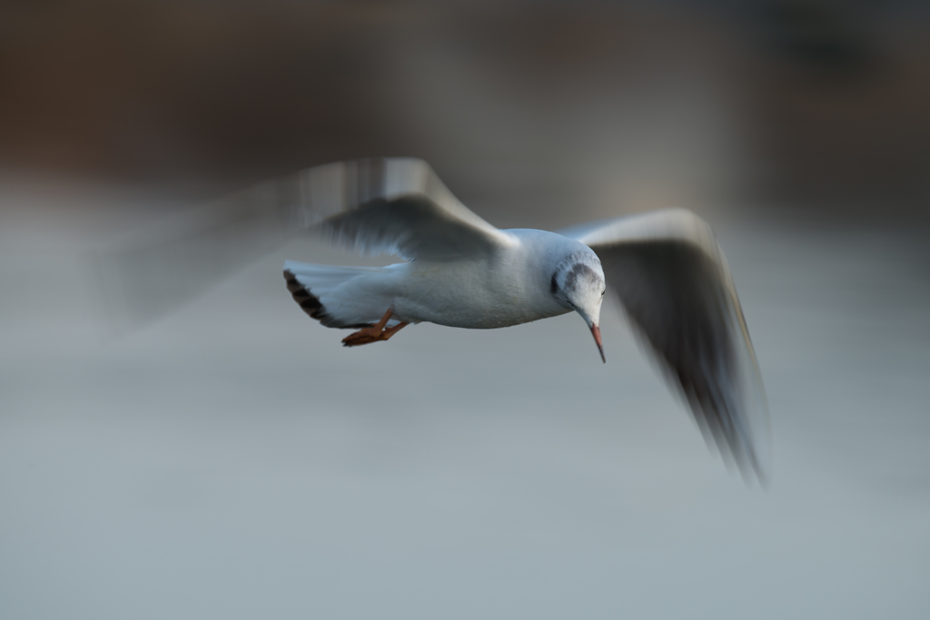 滲む