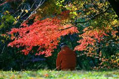 穏やかな時間