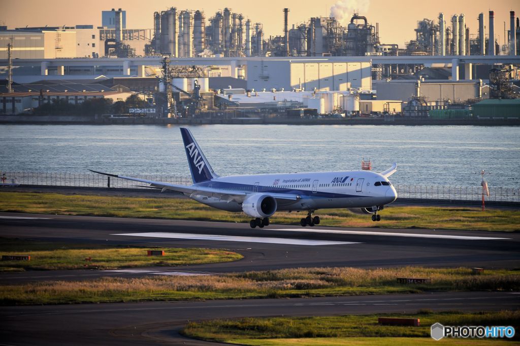 羽田の日常