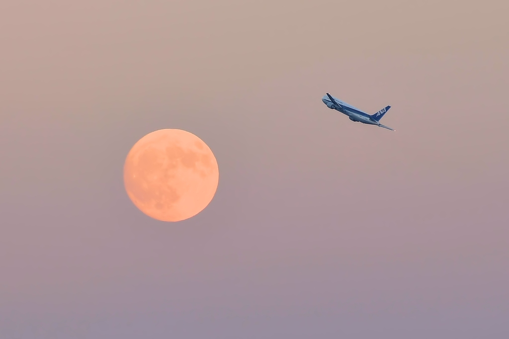夕焼けの空へ