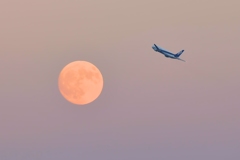 夕焼けの空へ
