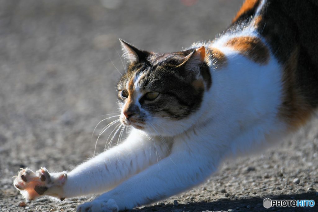 リラックス