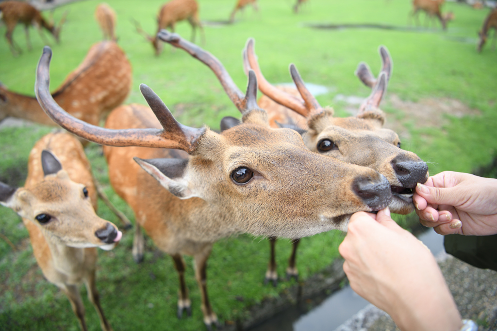 おいちっ♪