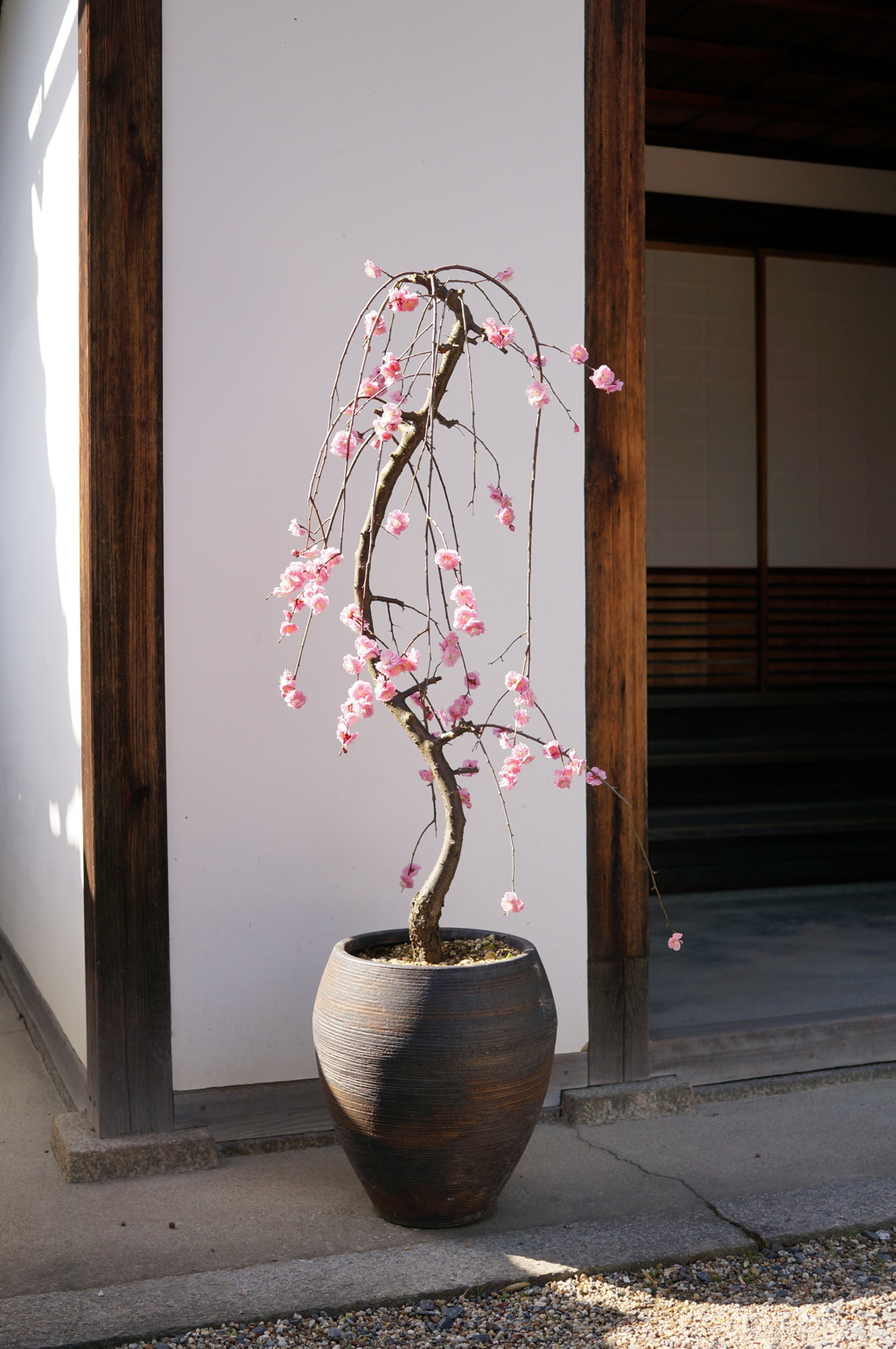 平等院で