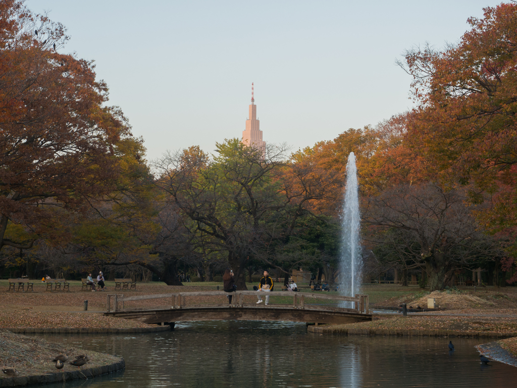 代々木公園の池