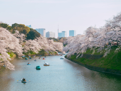 千鳥ヶ淵