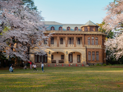 駒場公園