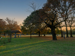 代々木公園