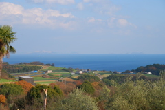 usimado`s air