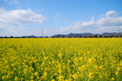 一足早い　春