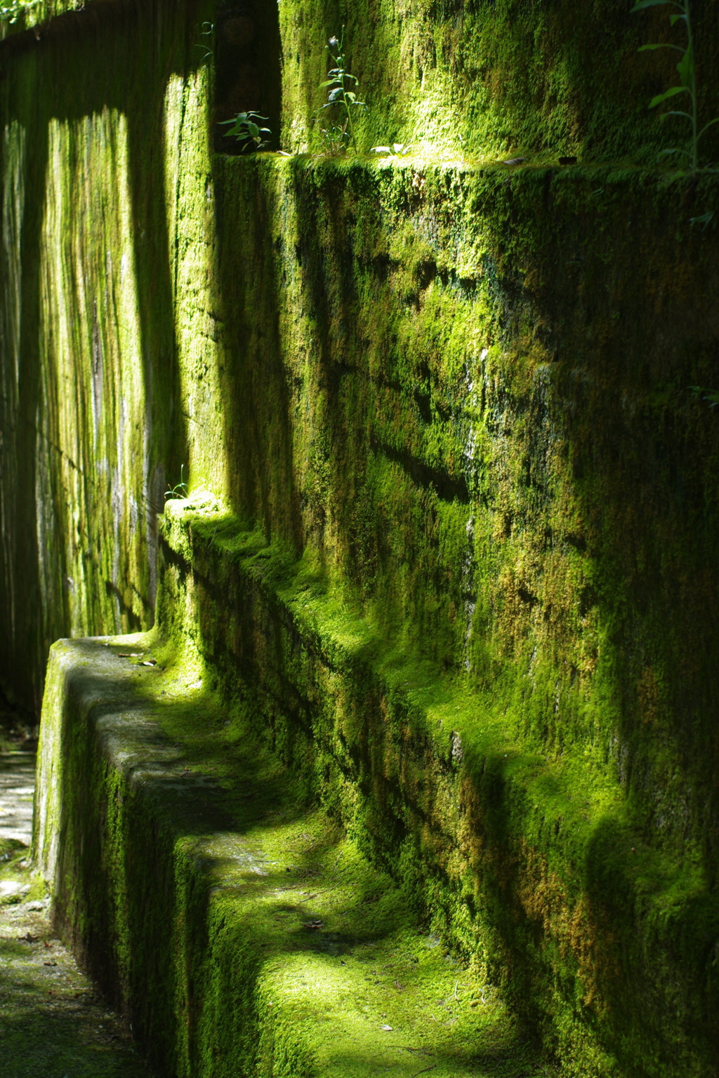  "Kyoto"「 04 」