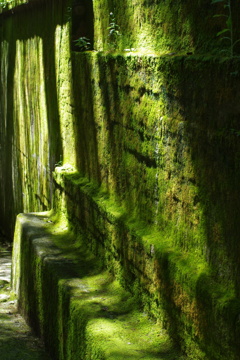  "Kyoto"「 04 」
