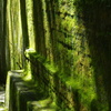  "Kyoto"「 04 」