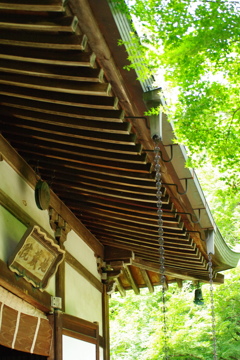 地蔵院