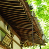 地蔵院