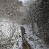 雪の山中