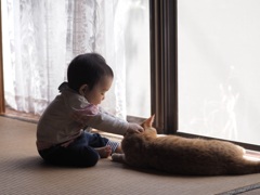 おこりませんよ。