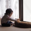 おこりませんよ。
