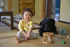 犬と娘