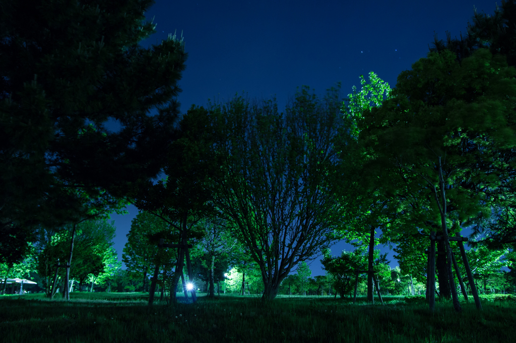 闇公園