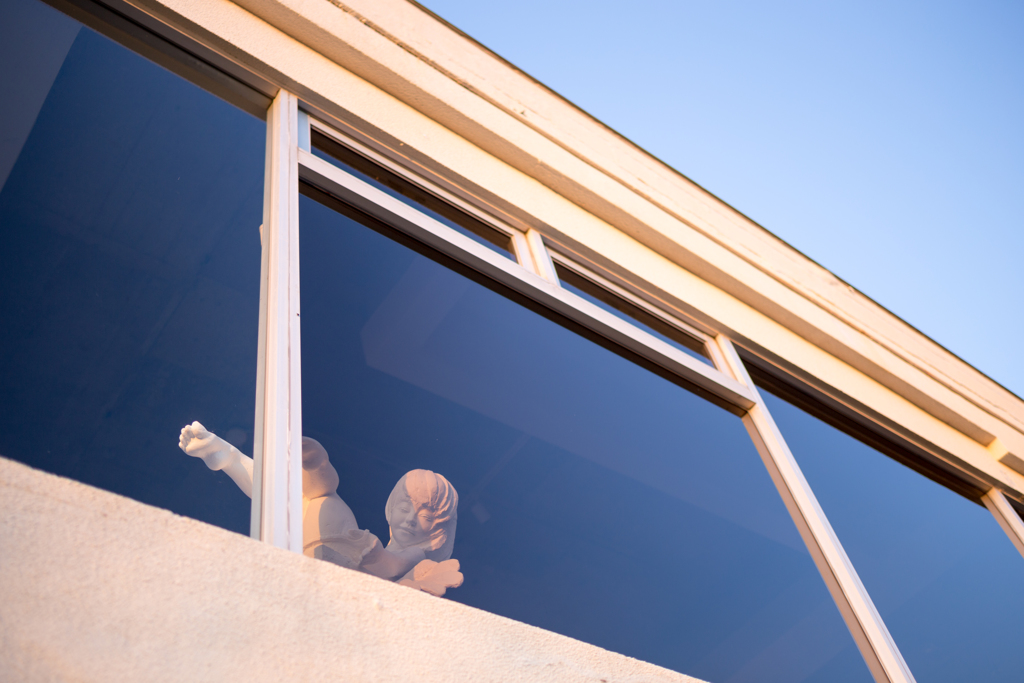 あら、見たわね