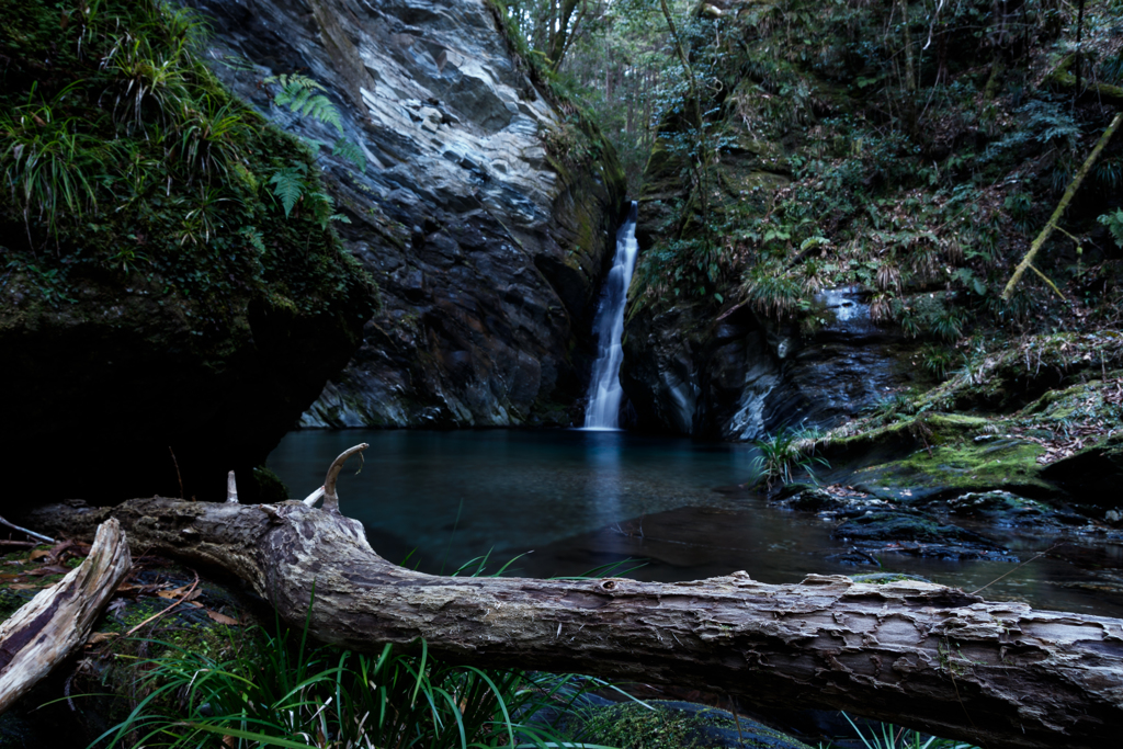 天然のガードレール