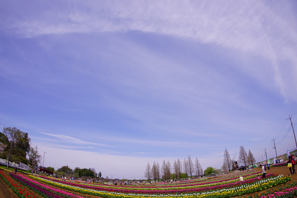 青空