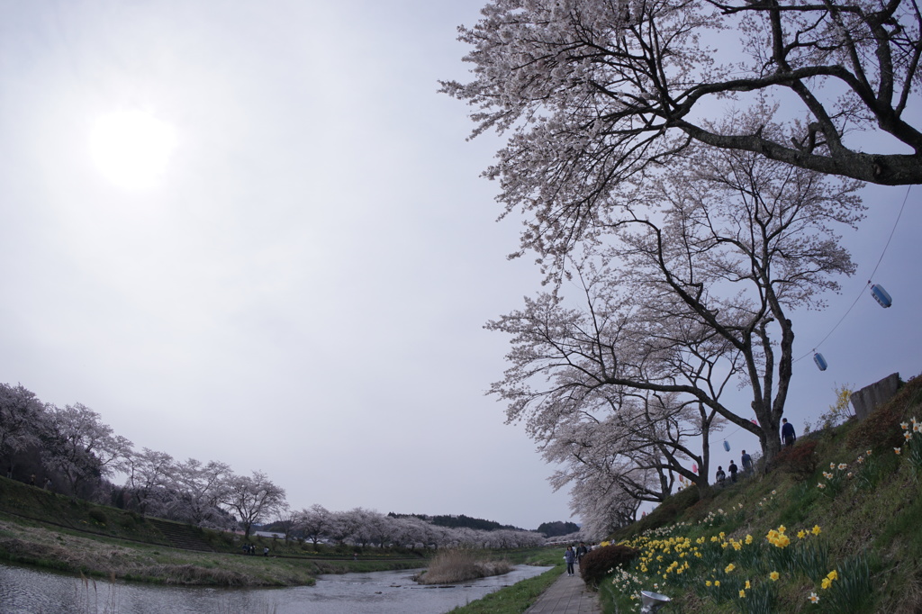 うっすら太陽