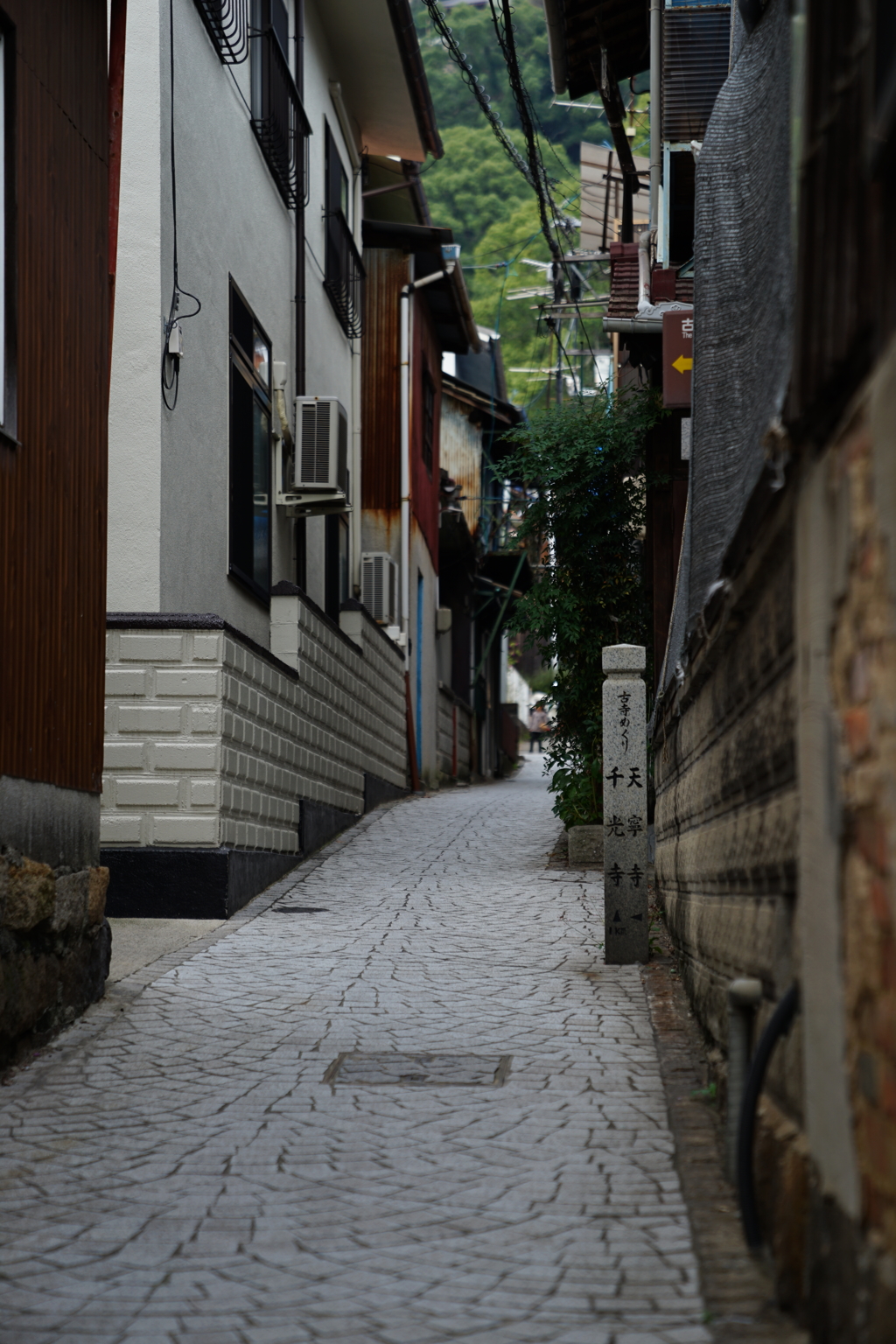 猫の細道