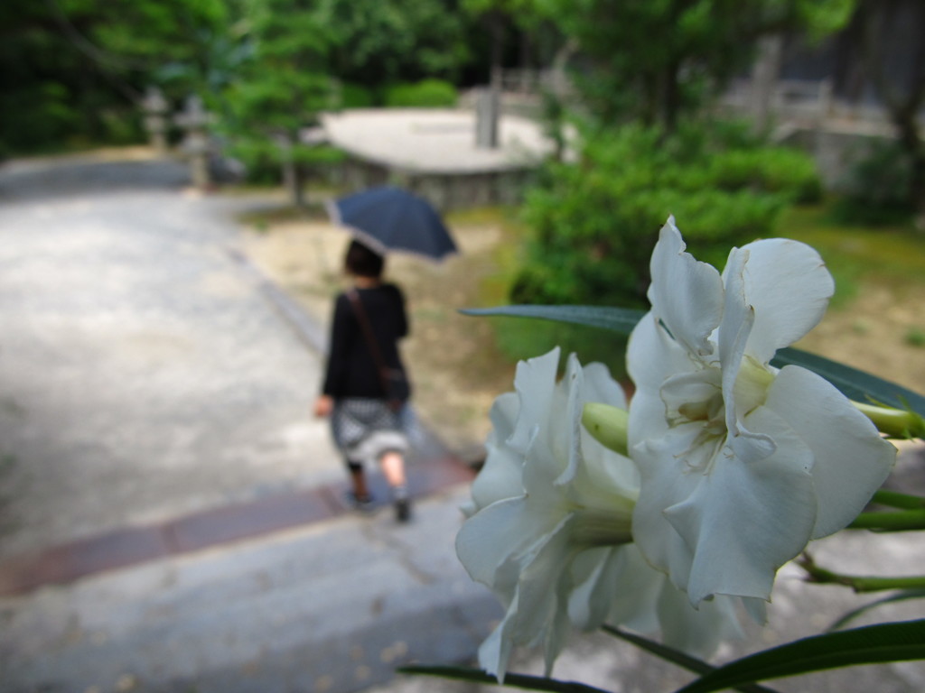 安産祈願