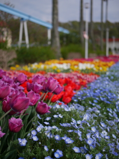 香椎花園