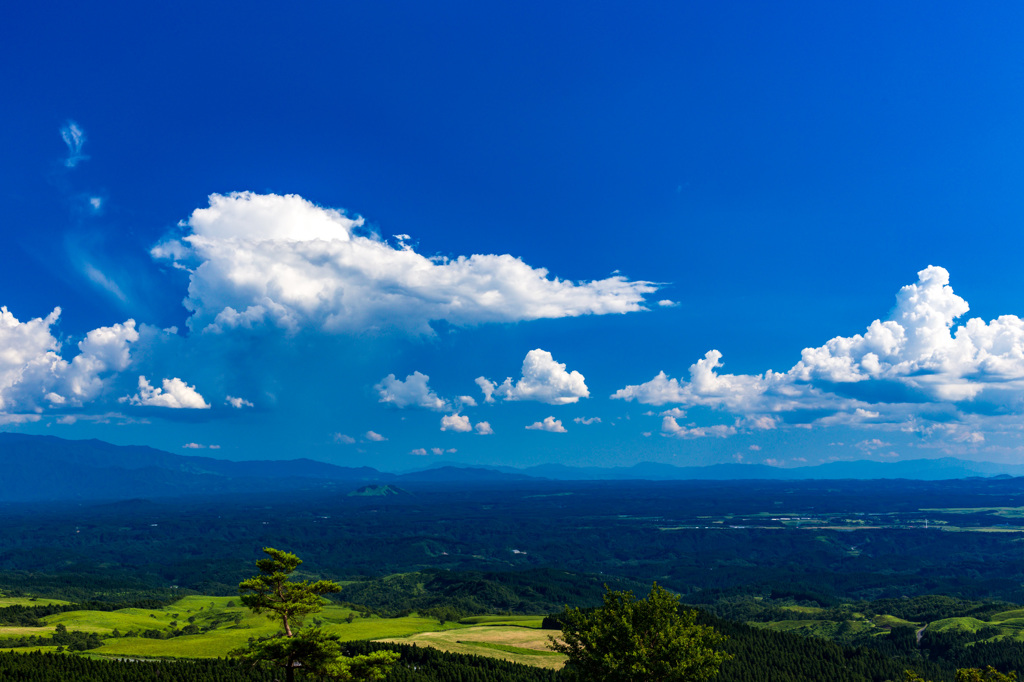 夏よ来い