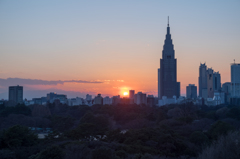 夕日。２月。