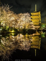 東寺 REFLECTION