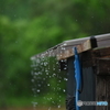 雨のち雨