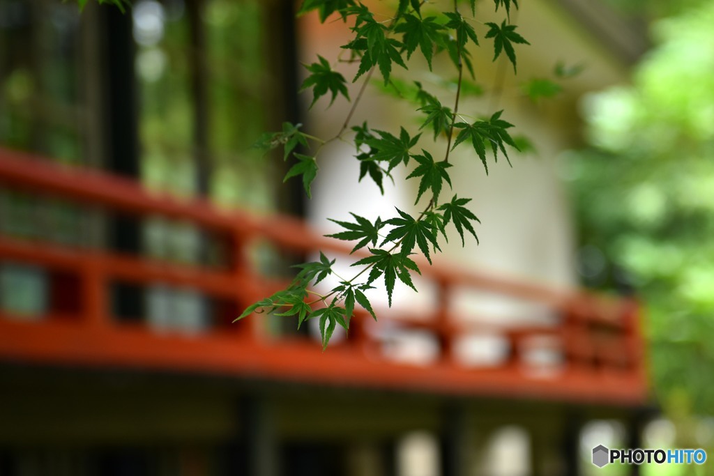 緑と朱色