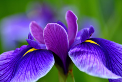 梅雨空の下で４