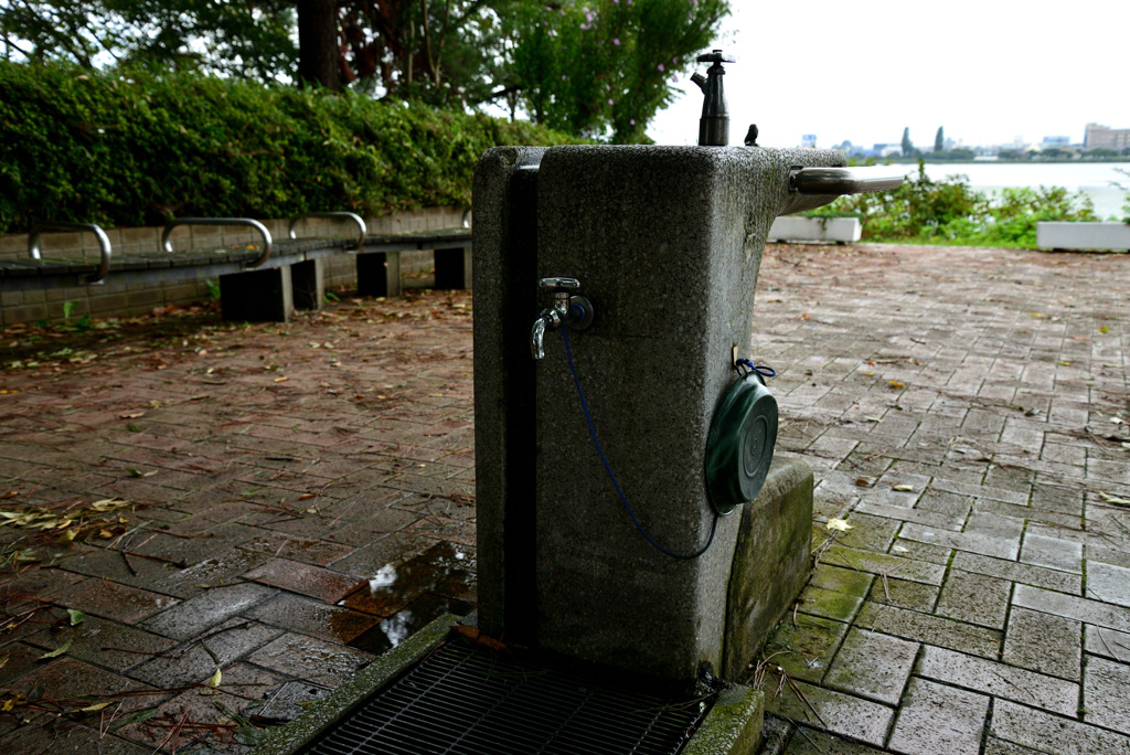 誰も居ない朝の公園で１