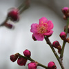 陽気を感じる2月の朝に２