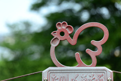 月曜朝の公園で１