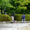 雨上がりの公園７