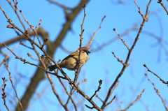 Img_8766c